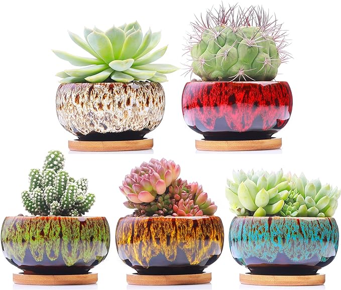 Cute Ceramic Succulent Garden Pots, Planter with Drainage and Attached Saucer, Set of 5 -Plants Not Included (Round)