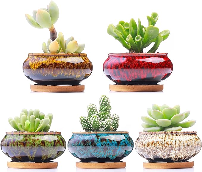 Cute Ceramic Succulent Garden Pots, Planter with Drainage and Attached Saucer, Set of 5 -Plants Not Included 