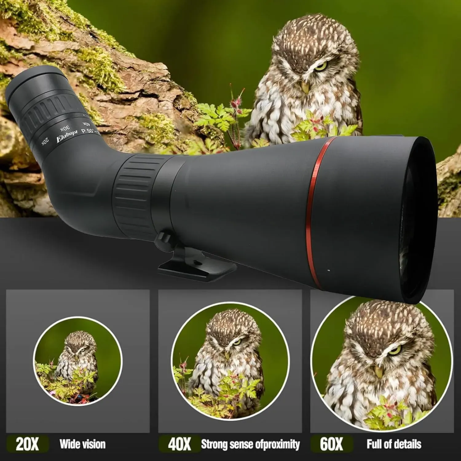 Givite 20-60x80ED Spotting Scope - Waterproof High Definition Spotter Scopes,Diamond White Coating for Wildlife Viewing and Other Outdoor Activities-Givite