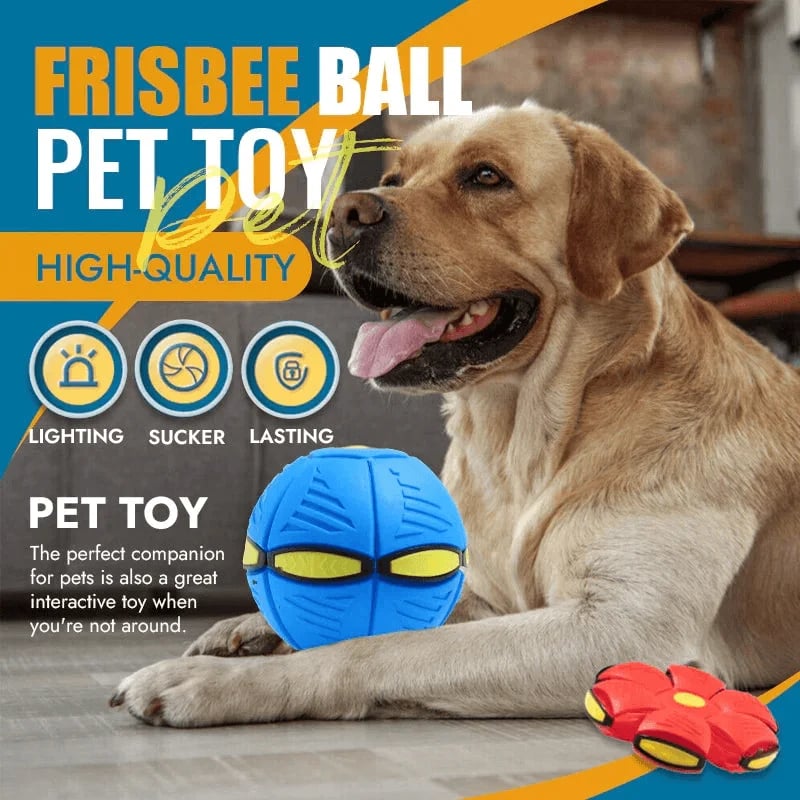 🐾Flying saucer ball for pets🔥