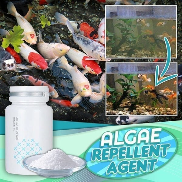 (🎁2024 New Year Hot Sale🎁)🔥  49% OFF - 🌺NEW Algae Repellent Agent