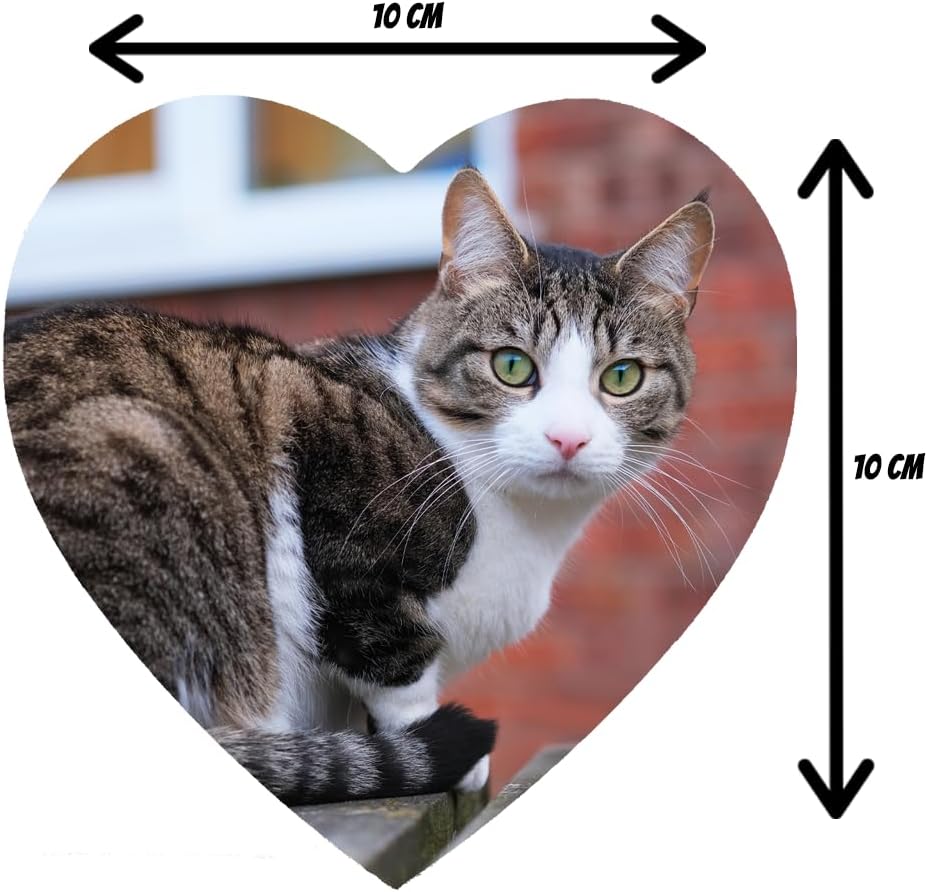 Personalisierter Kühlschrank MAGNET mit Foto Herz