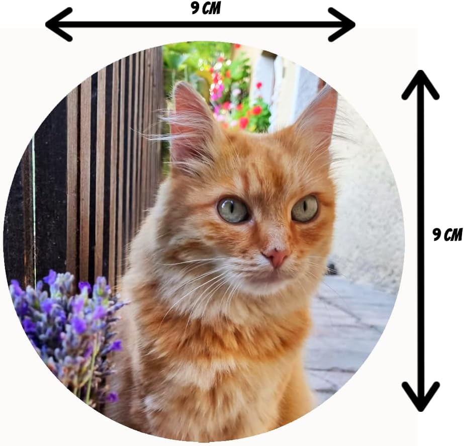 Personalisierter Fotountersetzer mit eigenem Bild Runden