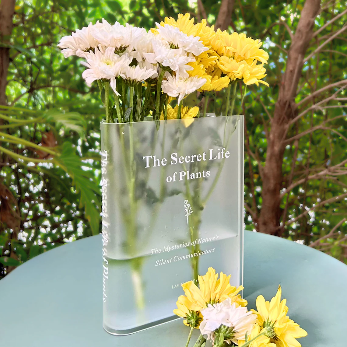 Acrylic Book Vase for Flowers Bookshelf