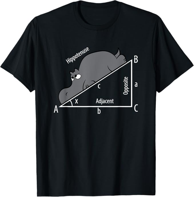 Lustiger Mathematikhumor Hippotenuse Hypotenuse schwarz kurzarm T-Shirt 