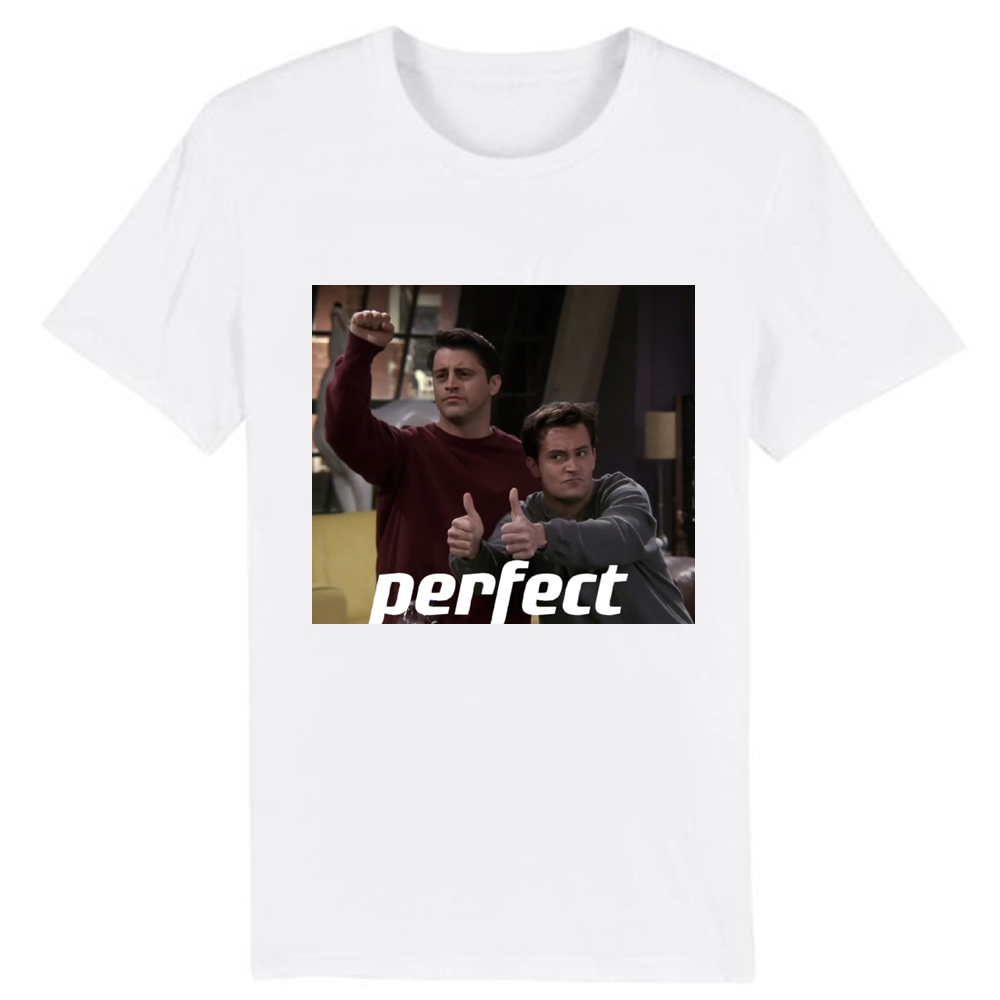 T-shirt Adulte Séries TV Friends 'Perfect' Costume