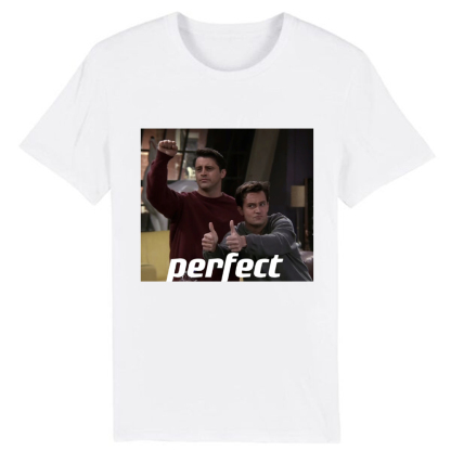 T-shirt Adulte Séries TV Friends 'Perfect' Costume