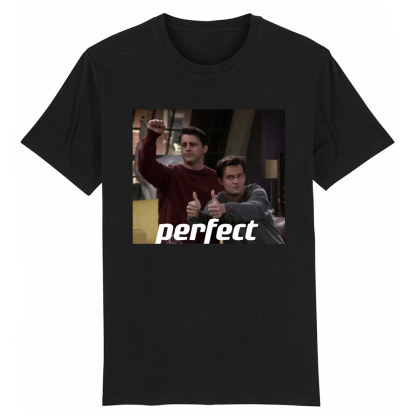 T-shirt Adulte Séries TV Friends 'Perfect' Costume