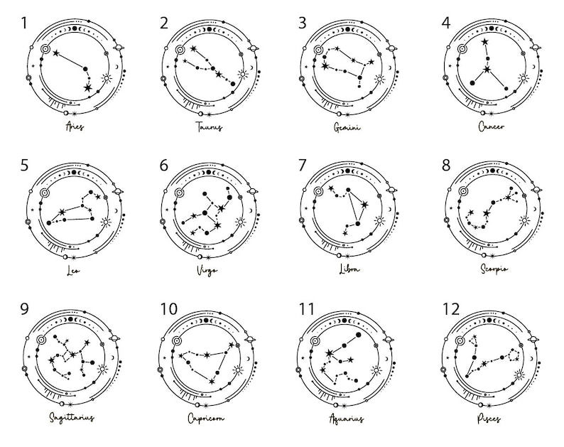 Twelve Zodiac Horoscope Amateur Astronomer Astrology Birthday Custom T-shirt 