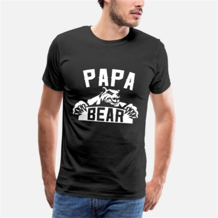 Papa Bear Father's Day Gift T-Shirt