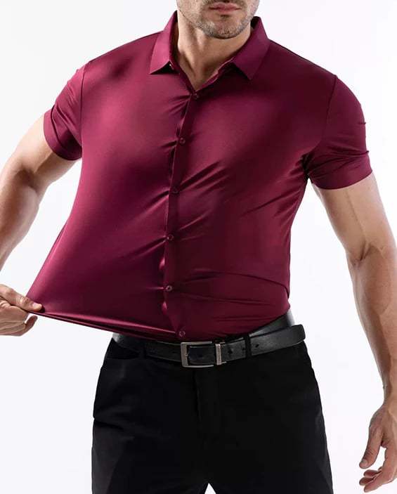 🔥Summer hot sale 49% OFF👔🔥 2-Pack Men’s Stretch Short Sleeve Dress Shirts