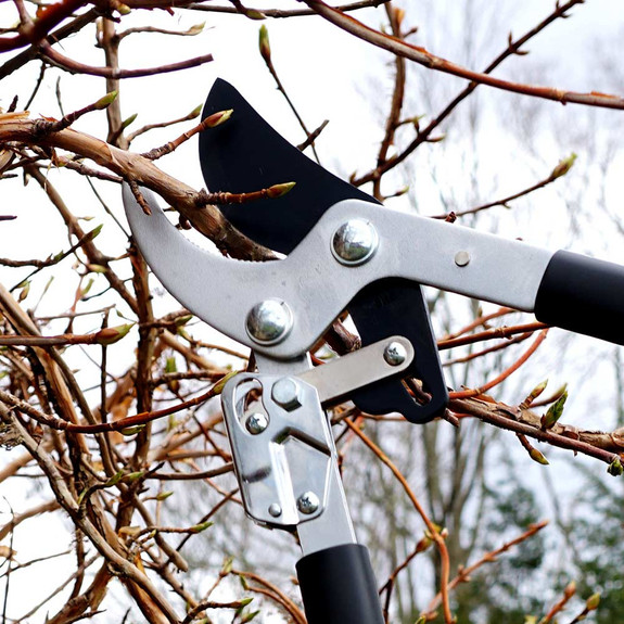 Premium Ratcheting Pruning Loppers