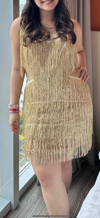 Euphoria Shimmer Fringe Dress