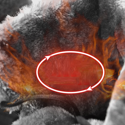 Lässige High-Top-Fleece-Baumwollstiefel für Herren