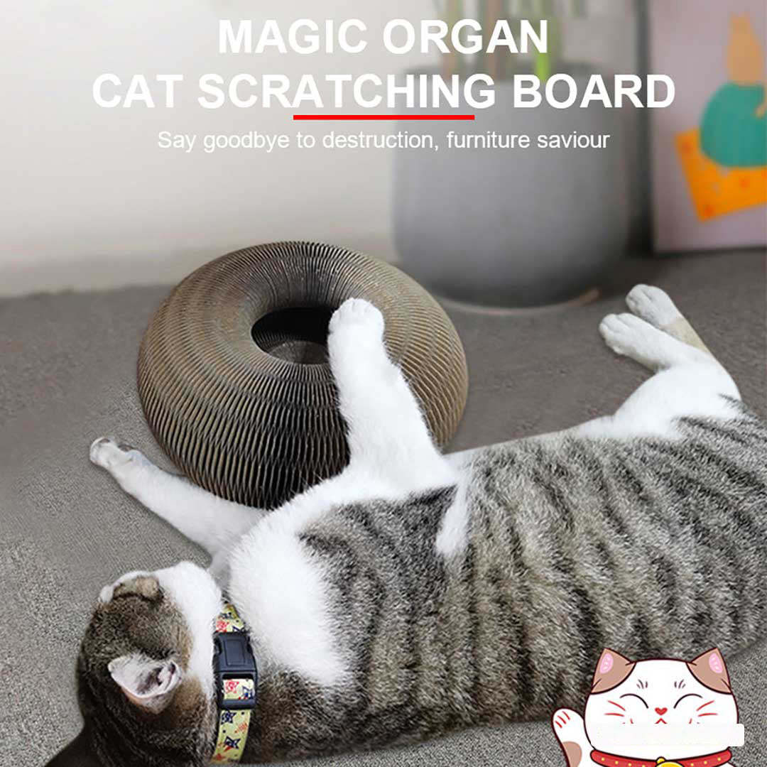 Therling Magic Organ Katzenkratzbrett
