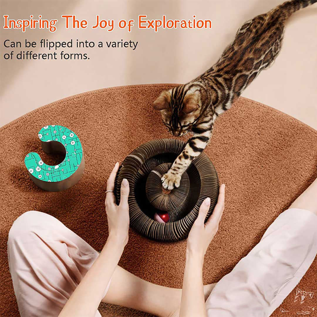 Therling Magic Organ Katzenkratzbrett