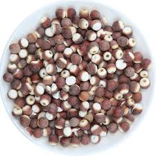 E & B BRAND Dried Foxnut (Ci Shi) 億寳牌 茨實 100g 