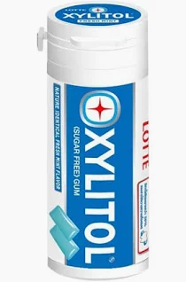 LOTTE Xylitol (Sugar Free) Chewing Gum - Fresh Mint Flavour 樂天 香口珠-薄荷味 29g