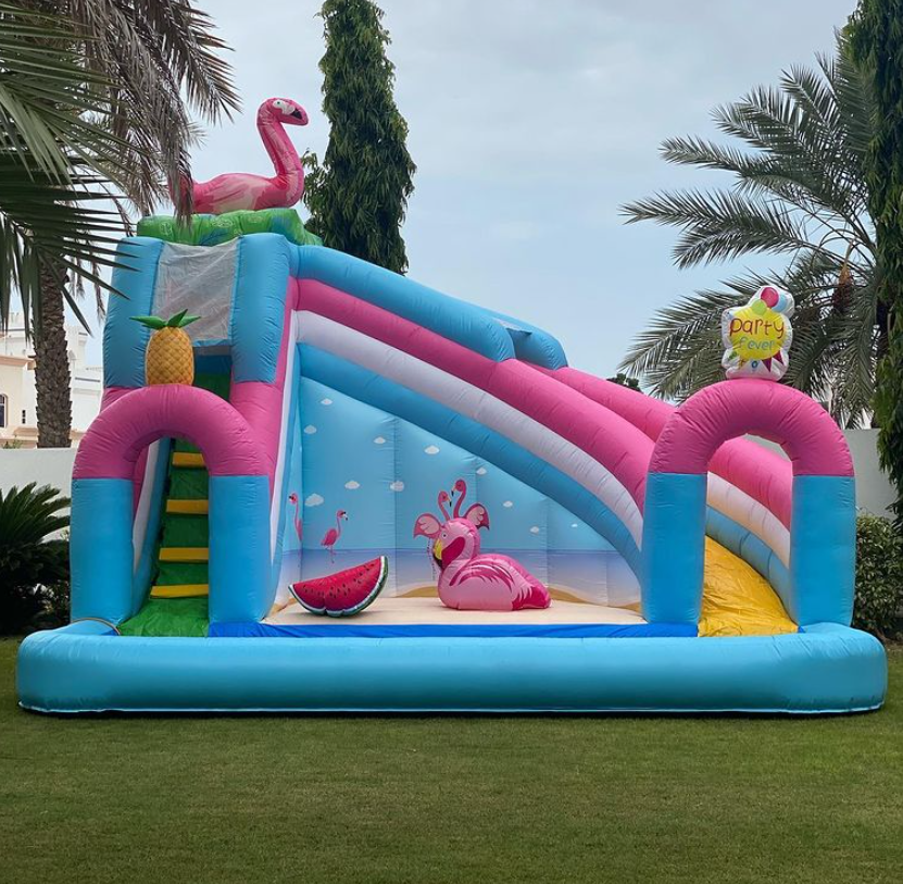 Flamingo Commercial Water Slide Outdoor Inflatable Bouncy Water Slide Splash Pool