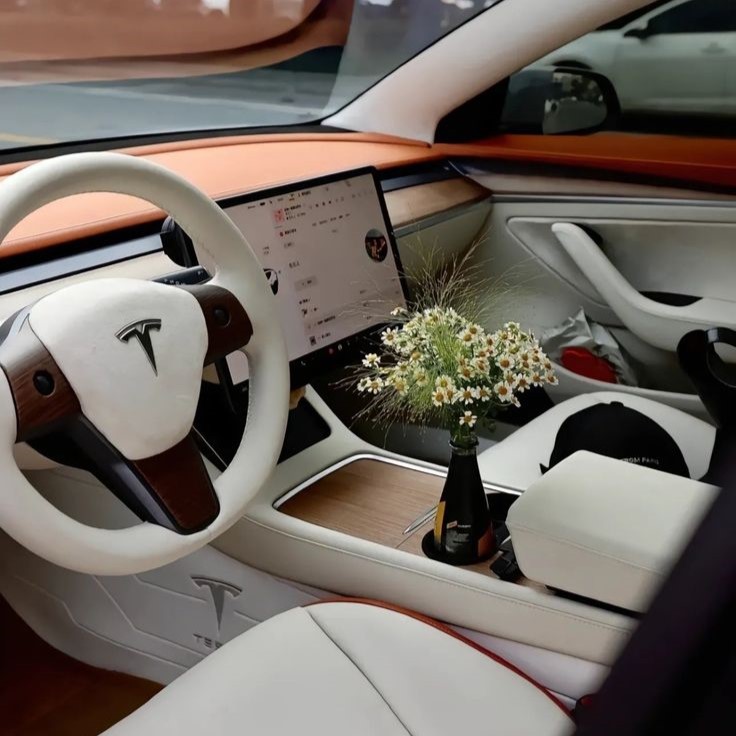 Transform Your Tesla Model 3: Interior Accessories to Enhance Your Driving Experience-TESGOD