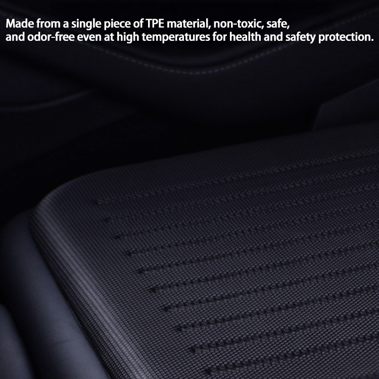 Eco-Friendly TPE All-Weather Foot Mats for Tesla Model 3-TESGOD