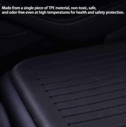 Eco-Friendly TPE All-Weather Foot Mats for Tesla Model 3-TESGOD