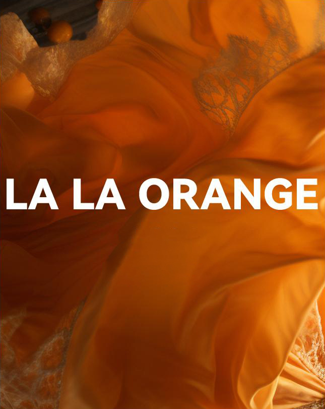 Air Vent Car Diffuser Refill for Tesla Model 3 / Model Y