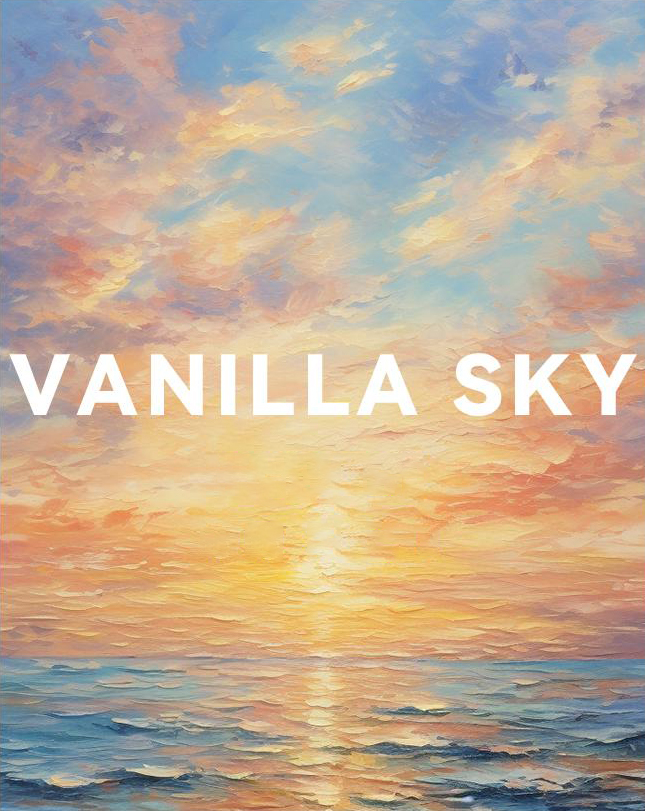 Air Vent Car Diffuser Refill for Tesla Model 3 / Model Y