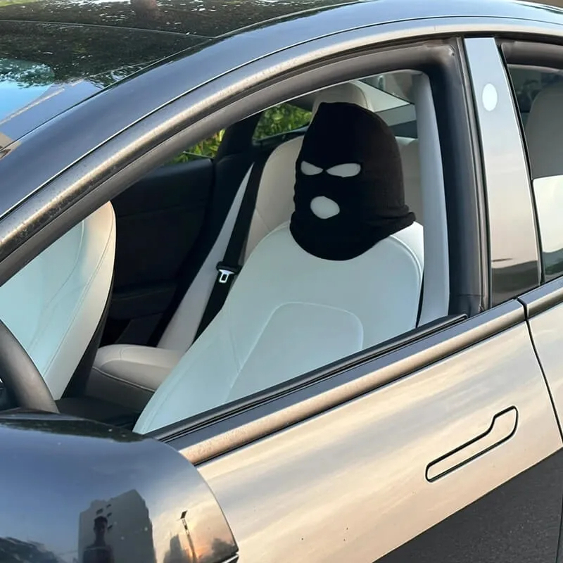 Personalized Headrest Cover Funny Hat for Tesla Model S/3/X/Y-TESGOD