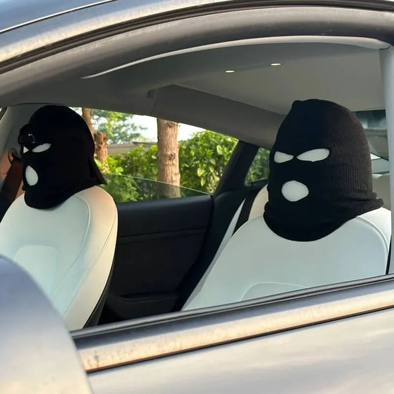 Personalized Headrest Cover Funny Hat for Tesla Model S/3/X/Y-TESGOD