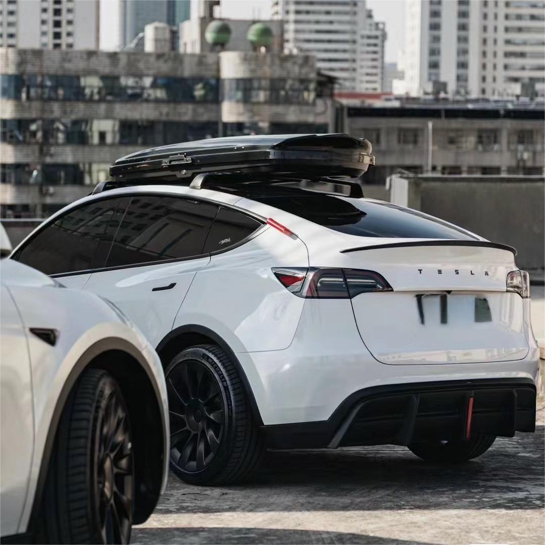 Tesla Model 3/Y Roof Rack-TESGOD