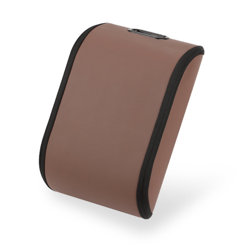 Tesla Car Shoe Organizer