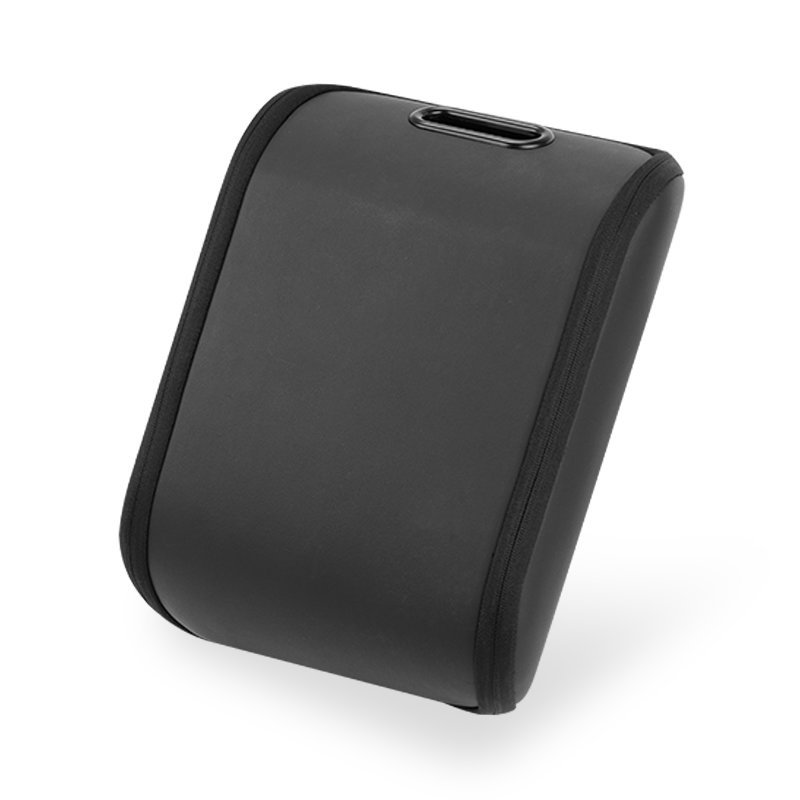 Tesla Car Shoe Organizer