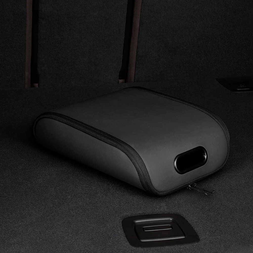 Tesla Car Shoe Organizer