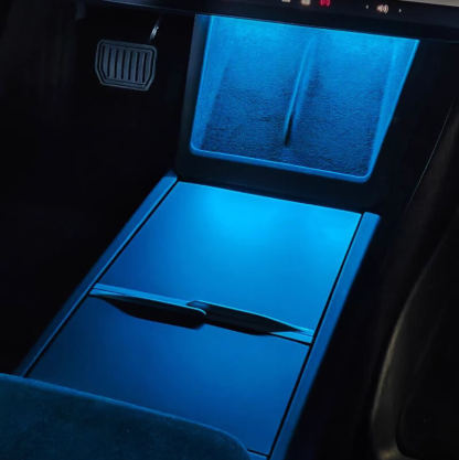 Interior Neon Lights Suitable for the 2024 Model 3-TESGOD
