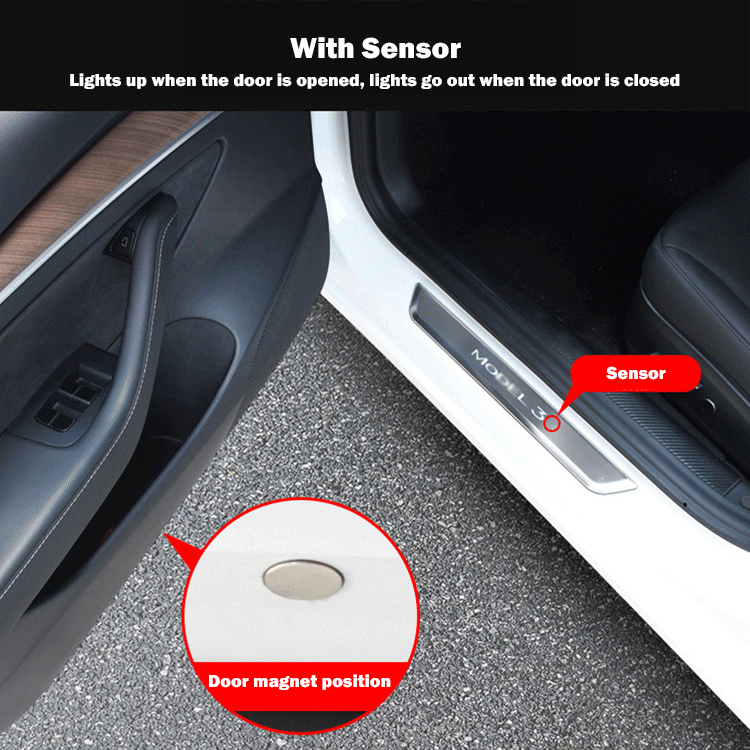 Tesla Model 3 (2019-2023.10) / Y (2020-2024) Illuminated Door Sills-TESGOD