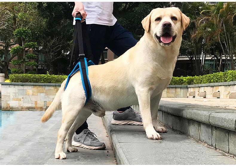 Dog Hip Sling / Rear Legs Support Rehabilitation Harness / IVDD, Spinal Disc Disease Back Injuries - Petpet-Park