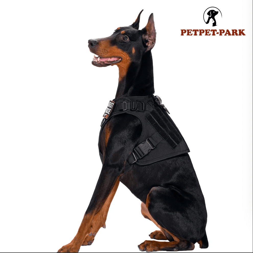 No-Pull Tactical K9 Dog Harness | Optimal Control & Training | Comfortable Fit & Lasting Quality - Petpet-Park