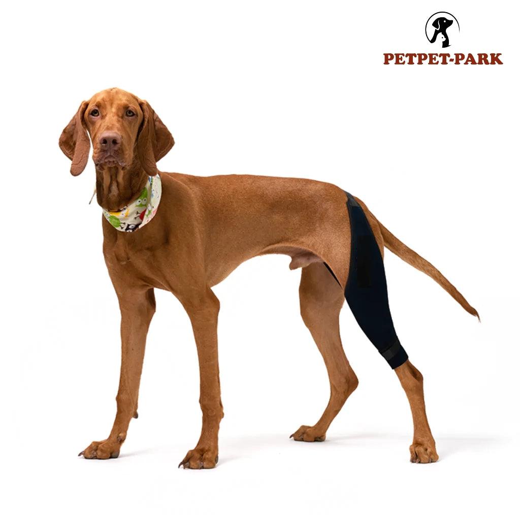 Knee Brace for Dogs - Cruciate Support for Torn ACL/CCL/ Limping/Joint pain - Petpet-Park