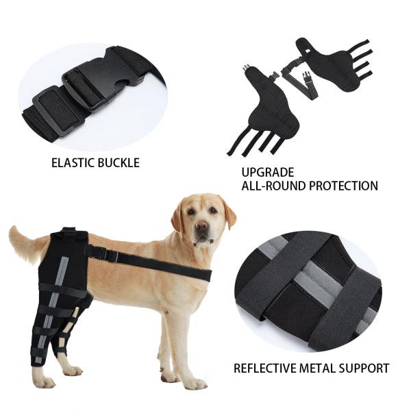 Dog Knee Braces - Back Leg (Both Sides) | Cruciate Support for ACL/CCL | Hinged Metal Splints | Reflective Straps - Petpet-Park