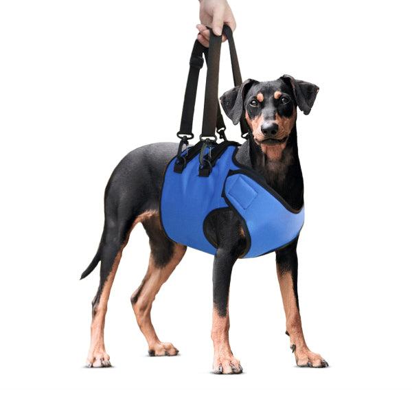 Dog IVDD Support Lift/ Rehabilitation Sling with Adjustable Strap - Petpet-Park
