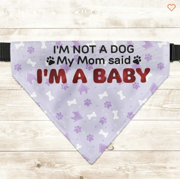 Personalized Photo Dog Bandana Collar