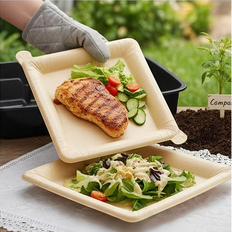 Reusable Square Paper Plates
