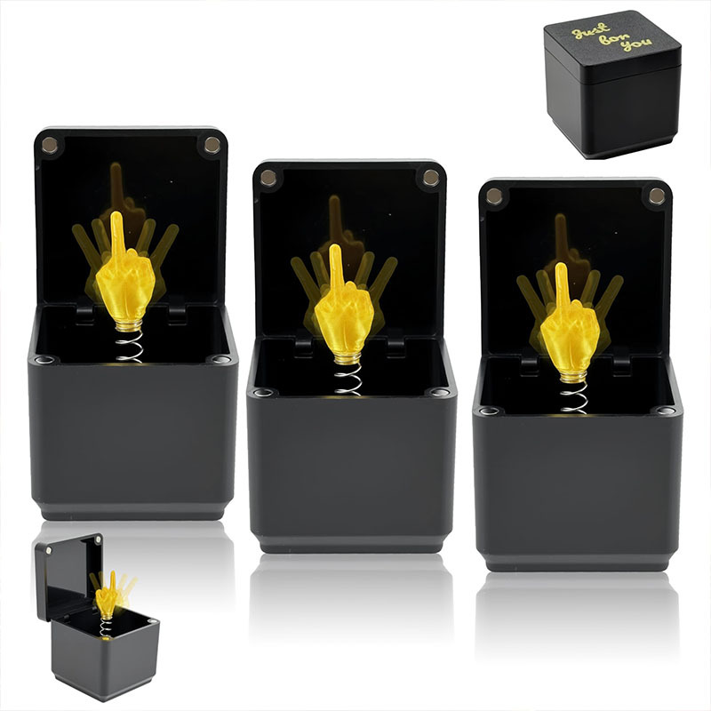 Christmas Middle Finger Gift Box