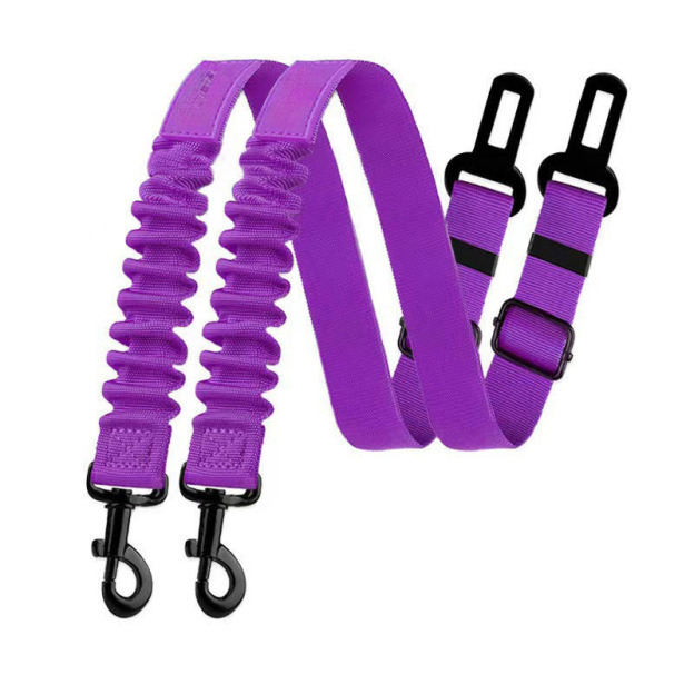 Pet Car Safety Leash 
