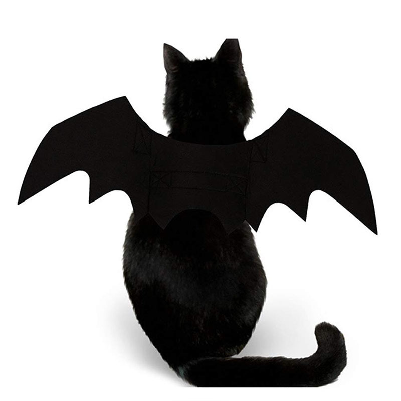 Halloween Bat Wings for Pets