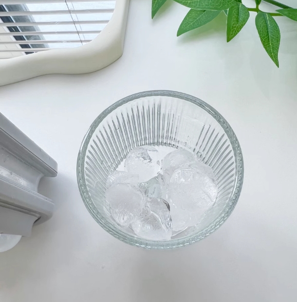 Portable Transparent Water Bottle Ice Grid Membrane Set