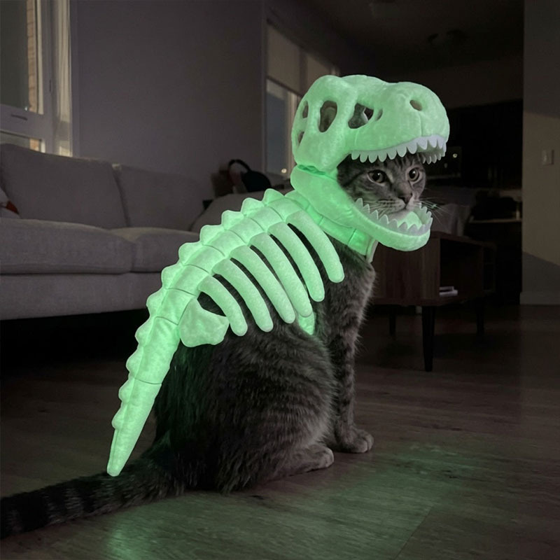 Pet Dinosaur Skeleton Costume