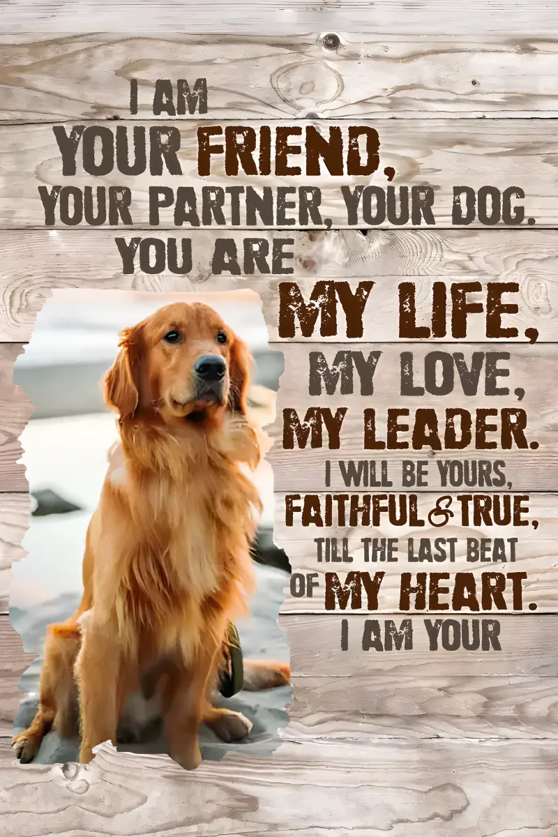 Custom Dog Portrait Poster, I am your dog Personalized photo pet gift for pet owners