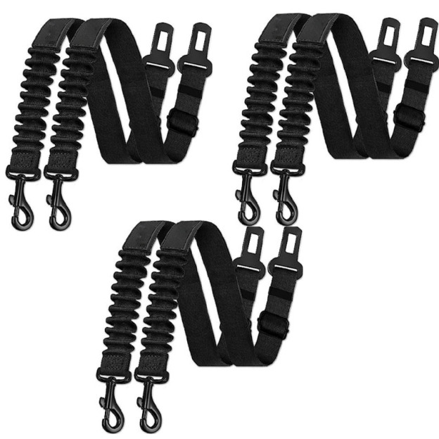 Pet Car Safety Leash 
